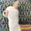 Paco the Alpaca - Image 3